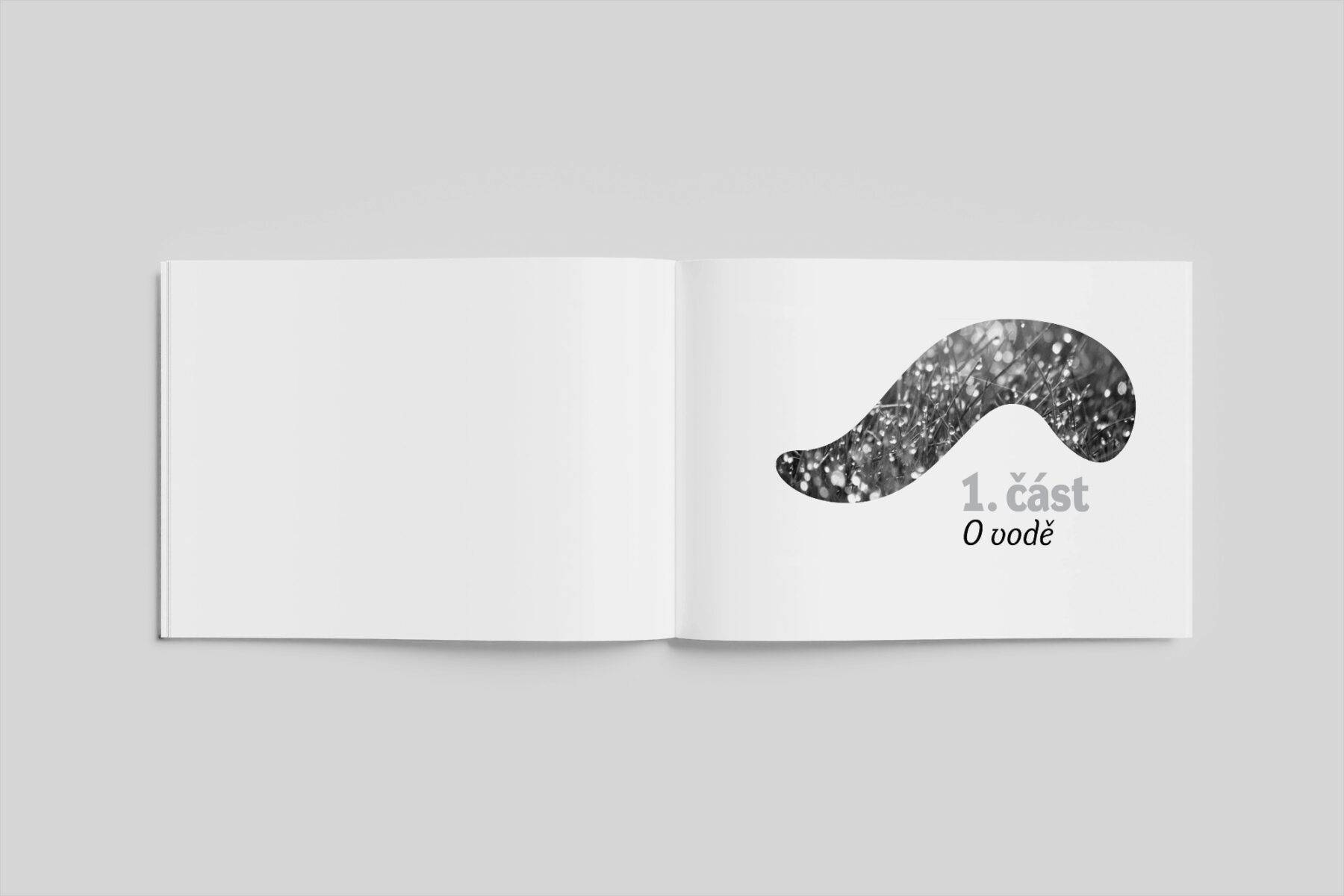 Doustrana z publikace Voda Živá