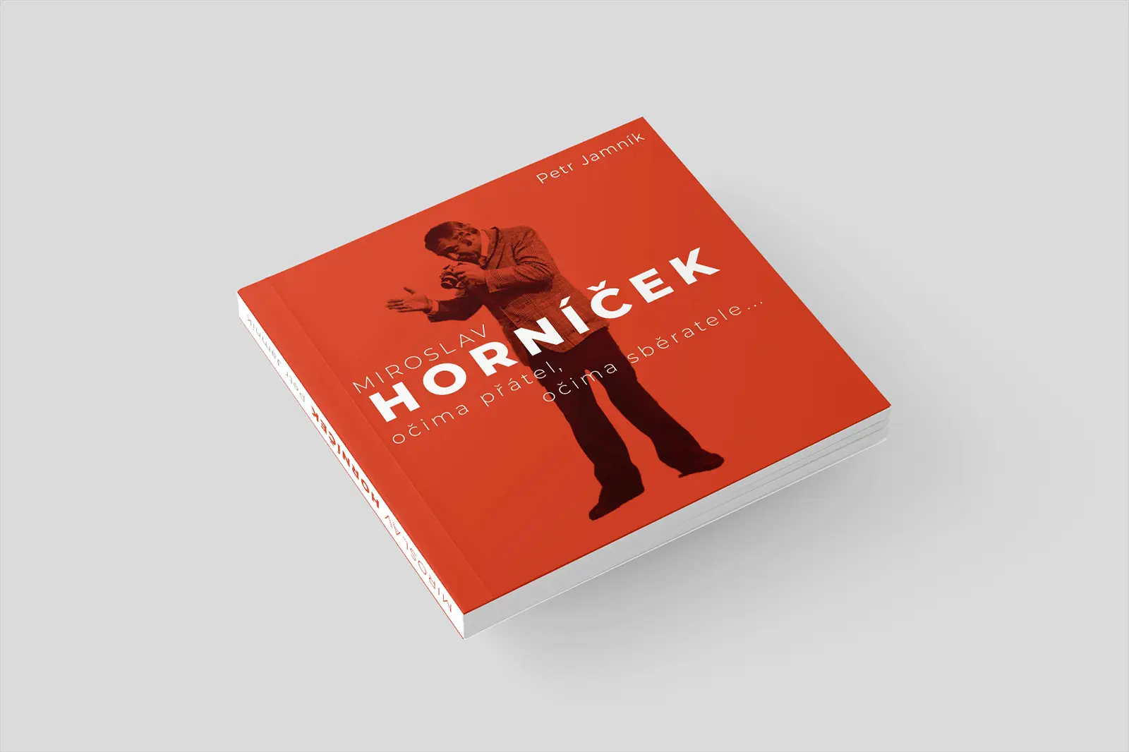 Hornicek kniha obalka predni